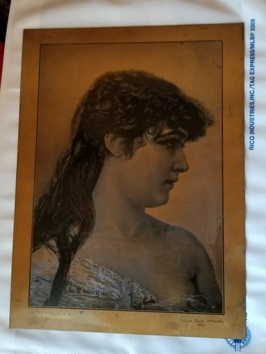 JOS ZENISEK 1884 COLECCION FAMILIA ARANDA 1857 COPPER WORK NUMBERED 165  - Picture 1 of 7