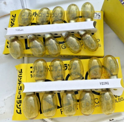 Riso Kagaku PRINT GOCCO lamp (20 pieces)  Yellow Gocco Printer Bulb