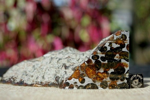 Sericho Pallasite Meteorite from Kenya Africa Habaswein 581.7g partial end cut - Picture 5 of 5