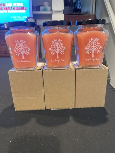 Celebrating Home Peach Orchard Candles (Set of 3) - Picture 1 of 2