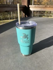 Teal Panama City Turtle Stainless Steel Tumbler,  Crack In Lid