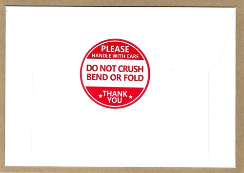 High Springs, FL-Florida, Cadillac Motel Swimming Pool View Vintage Postcard - Picture 3 of 3