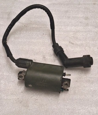WB2. Honda FES 125 JF12 PANTHEON Zündspule - Bild 1 von 4