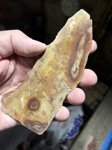 NEVADA BULL'S EYE CHALCEDON Platten 440 Gramm / Rohachat Jaspis Mineralgestein - Bild 6 von 17