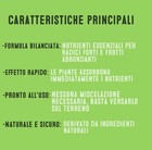 Foto 4 di 5