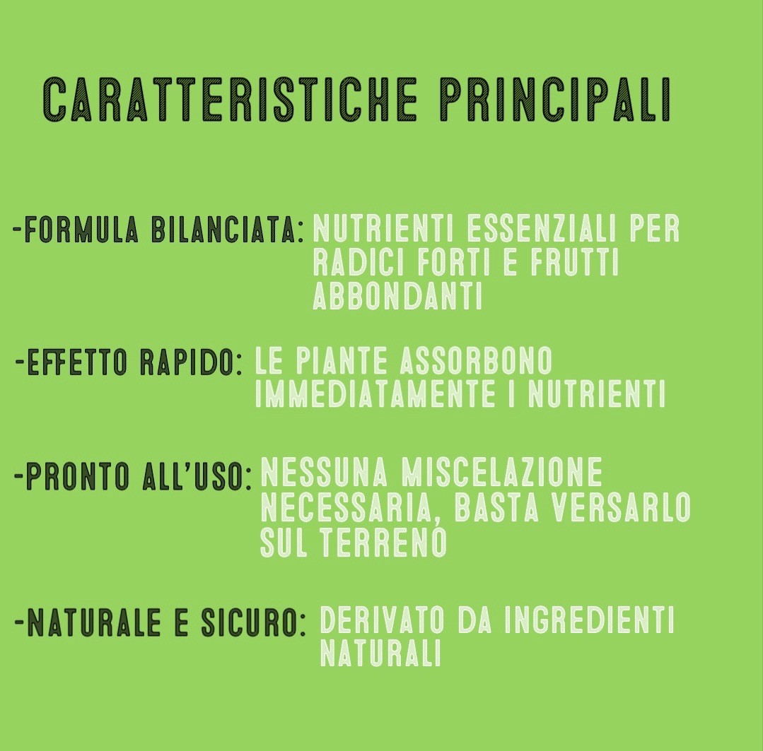 Foto 4 di 5