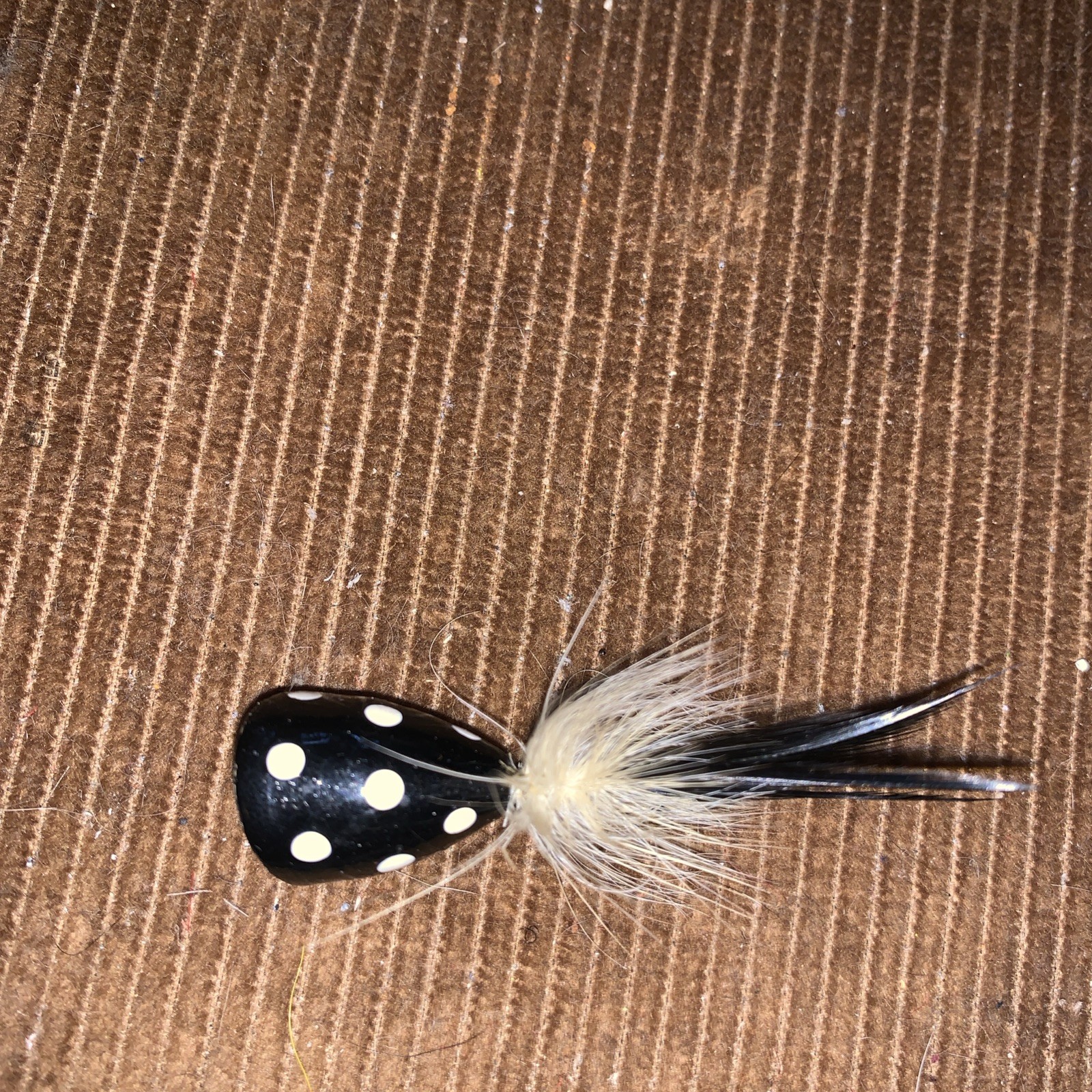 Picture 3 of 6