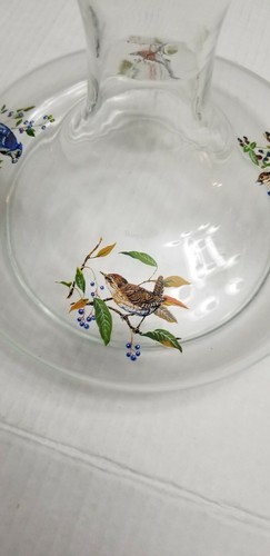 Clear Glass Round Bottom Vase Tapered Top with painted birds robin, bluejay, etc - Bild 5 von 11