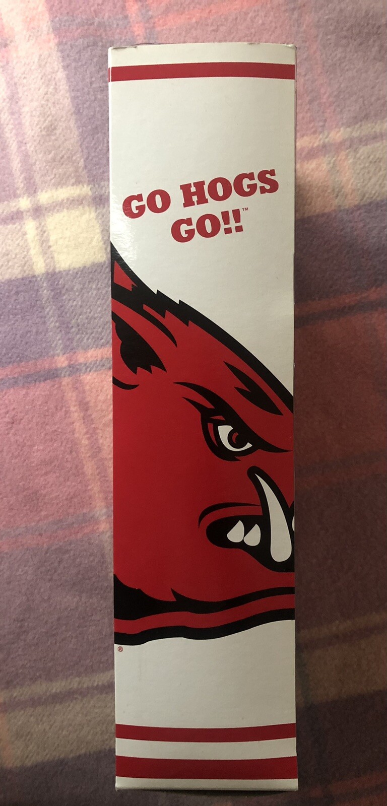 Picture 19 of 21