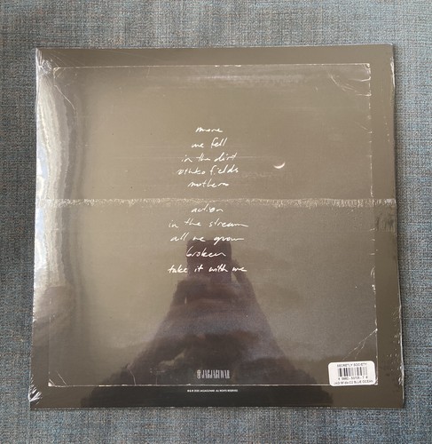 S Carey - All We Grow Exclusive Club Edition Blue Ocean Wave Color Vinyl LP - Picture 2 of 4