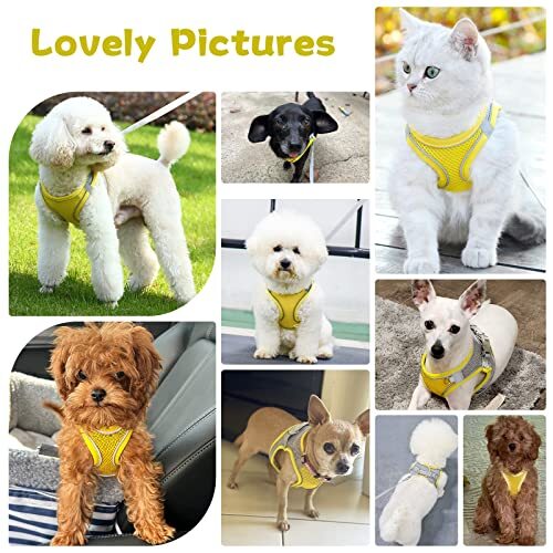 Weiches kleines Hundegeschirr und Leine Set Step in Air Mesh Welpengeschirr Leine Easy - Bild 5 von 8