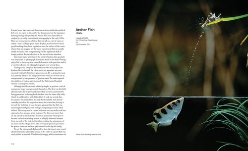 CAPTURING MOTION-High-Speed Photos/Dalton/Natural History/Color Illust/New/HB/DJ - Imagen 2 de 7