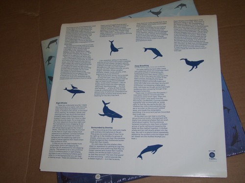 Deep Voices The Second Whale Record 1977 LP Capitol ST-11598 Vinyl SHRINK Sleeve - Picture 4 of 6