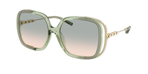 NEW Coach 8423U Cad80 Sunglasses 58902C Grey 100% AUTHENTIC - 第 1/1 張圖片