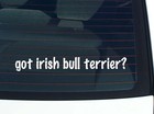 got irish bull terrier? Car Decal Bumper Sticker Vinyl Funny Joke Window