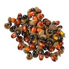  100 Pcs Fake Corn Decorative Acorns for Home Artificial Decoration