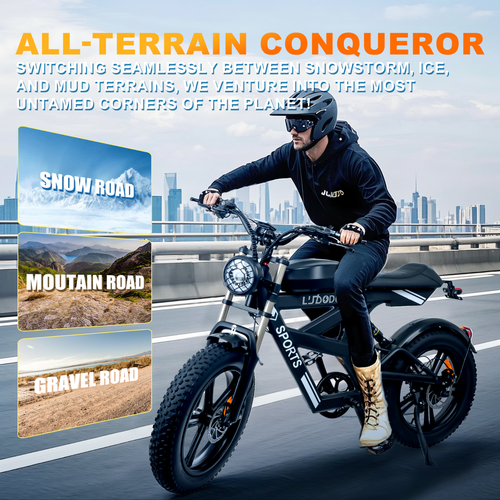 Off-road Electric Bike for Adult 1000W 75Mile 34MPH 20'' Fat Tire Mountain Ebike - Picture 23 of 35