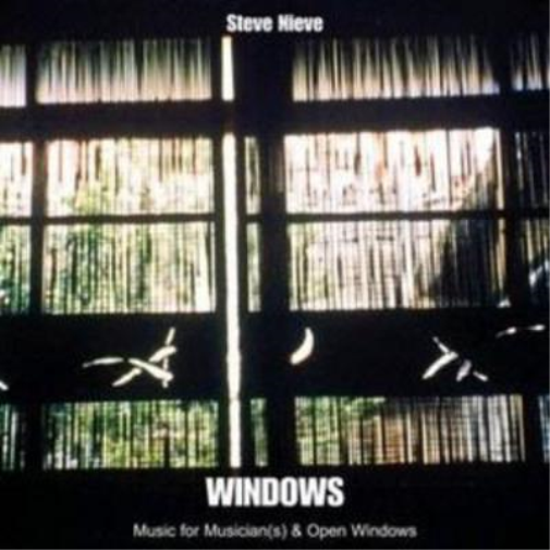 Steve Nieve Music for Musician(s) and Open Windows (CD) Album