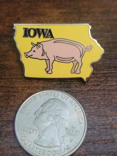 Peter David United States USA State Travel Hat Lapel Pin - Iowa - Picture 2 of 3