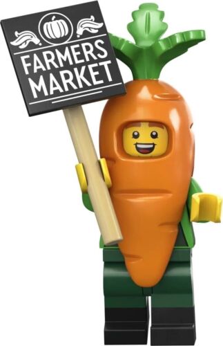LEGO MINIFIGUREN 70137 SERIE 24 WÄHLEN SIE IHRE MINIFIGUR! - Bild 6 von 14