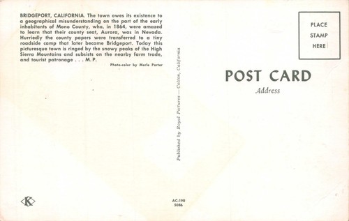BRIDGEPORT MONO CTY CALIFORNIA~-MAIN STREET VIEW-NASH AIRFLYTE ?-POSTCARD 1950s - Bild 2 von 2