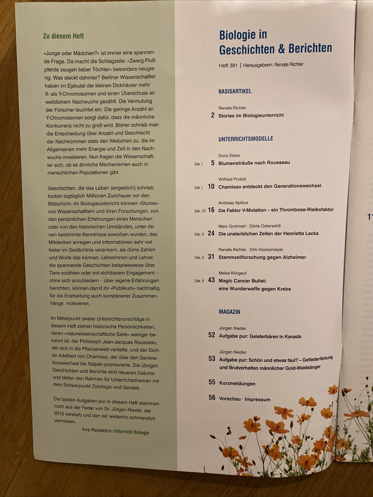 Bild 2 von 3