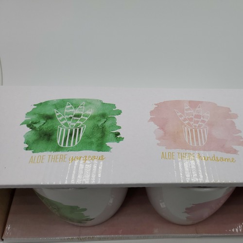 American Atelier 2-PC SET Ceramic Coffee Mugs Aloe there gorgeous Aloe handsome - Picture 2 of 12