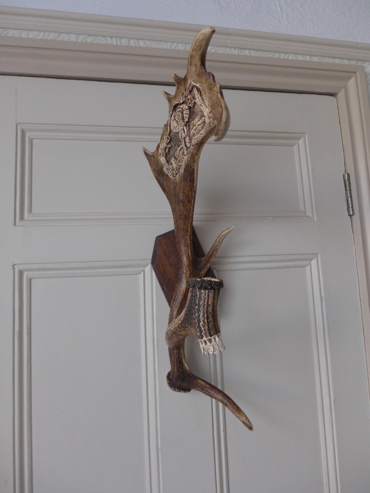 Picture 5 of 23