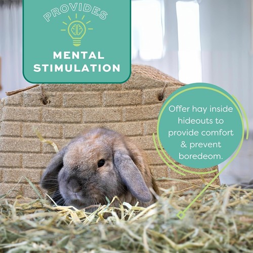 Veterinarian Recommended 25 lb Orchard Grass Hay for Rabbits, Guinea Pigs & More - Picture 9 of 11