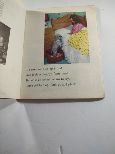 Puppy and Me A Little Golden Book by Anna Ratzenberger Printed 1955 - Picture 13 of 14