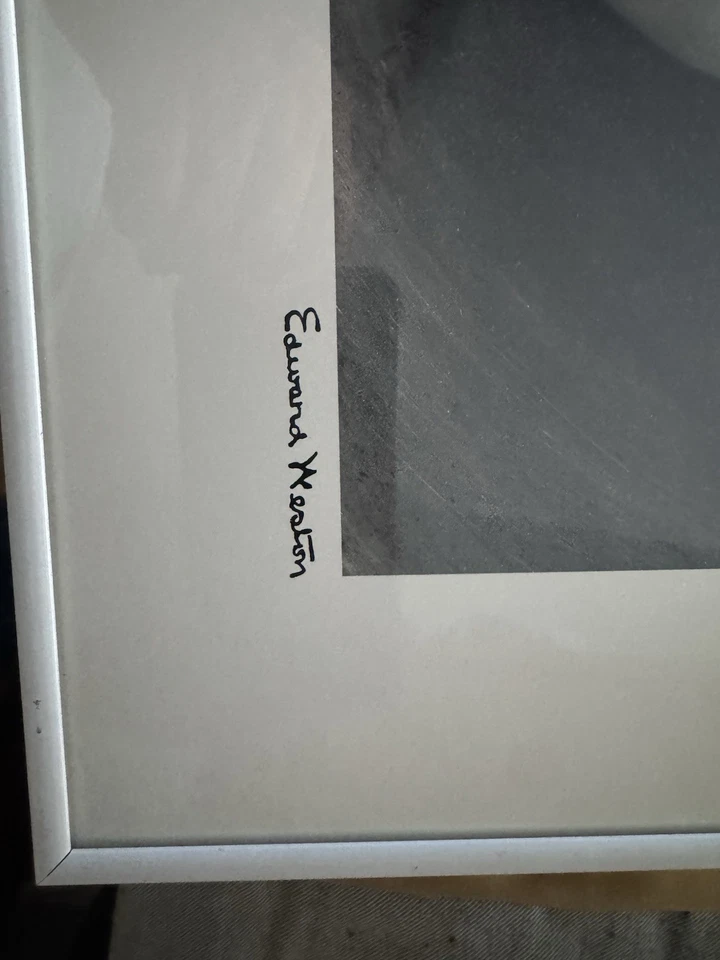 Póster Edward Weston "Bell Pepper" 1979, enmarcado de colección Foto 3 de 3