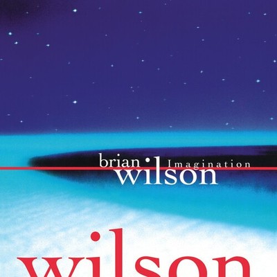Brian Wilson Imagination レコード　RSD LP 新品 Wilson,Brian - Imagination - Vinyl Lp - RSD 2026 | eBay