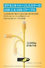 第 6/6 張圖片
