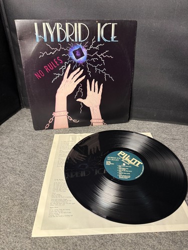 Vintage Hybrid Ice "No Rules" Vinyl LP - Northumberland, PA - Pilot Records