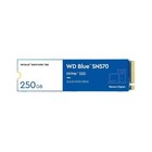 Western Digital WDS250G3B0C Blue SSD SN570 NVMe 250GB M.2