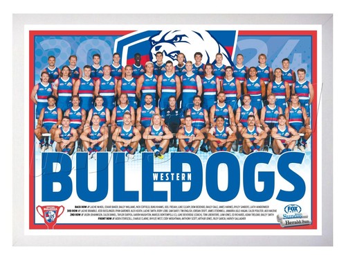 Framed 2024 Western Bulldogs AFL Poster - 62cm x 44.5cm x 3cm - Picture 2 of 4