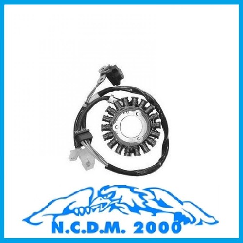 Estátor Imán Volante Kymco Grand Dink 250 2006 2007 2008 2009