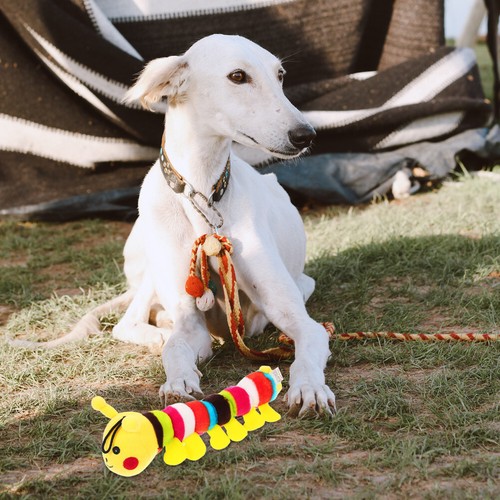  Sound Beißspielzeug weich quietschend Spaß Welpe Kauen für Welpen Haustier kleiner Hund - Bild 5 von 12