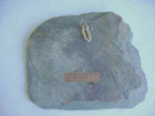 Picture 6 of 12