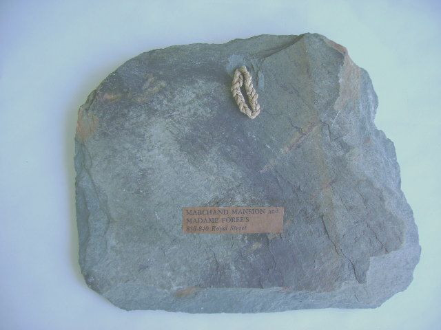 Picture 6 of 12