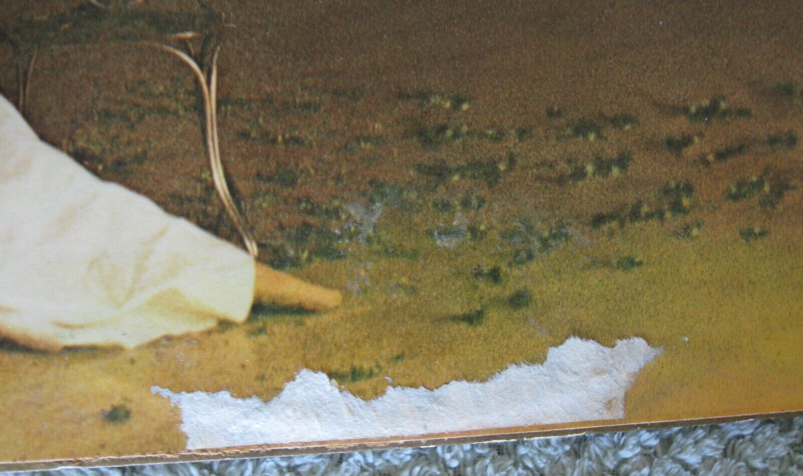 Picture 4 of 6