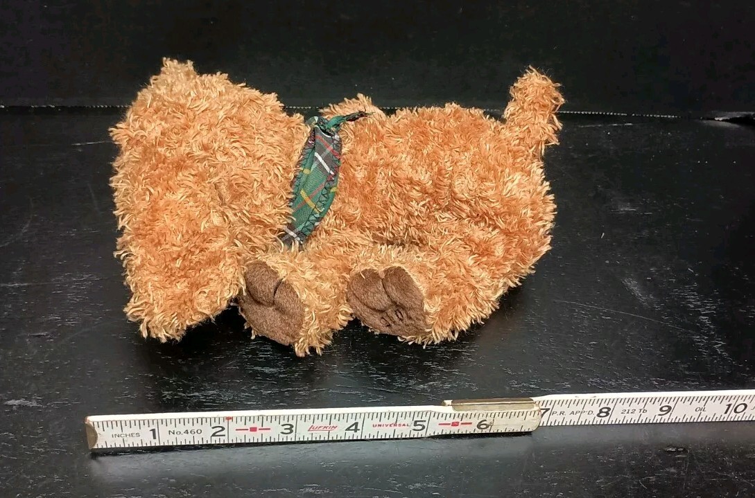 Picture 5 of 5