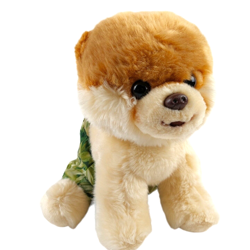 Gund Boo Worlds süßester Hund Plüsch mit Shorts 12 Zoll Pomeranian Stofftier Sommer - Bild 3 von 11