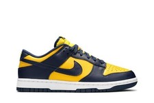 Nike Dunk Low 'Michigan' 2021 DD1391-700 Men's Shoes
