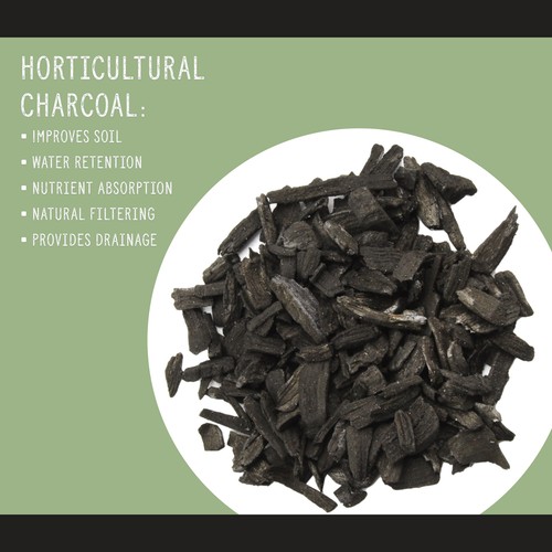 Horticultural Charcoal Plant Hardwood Soil Amendment Orchid Terrarium & Garden - Picture 3 of 24
