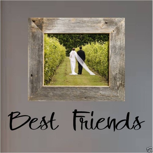 BEST FRIENDS - Vinyl wall decal HOME DECOR Any COLOR - Picture 1 of 1