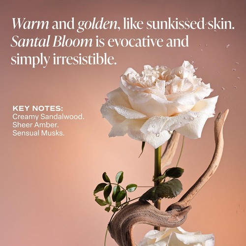 Saltair Multi-Lipid Body Butter - Rich, Nourishing Santal Bloom Hydrating Body - Bild 5 von 8