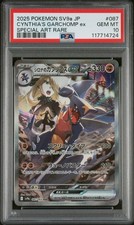 Pokémon TCG Professional Sports Authenticator (PSA Pokémon TCG Professional Sports Authenticator (PSA