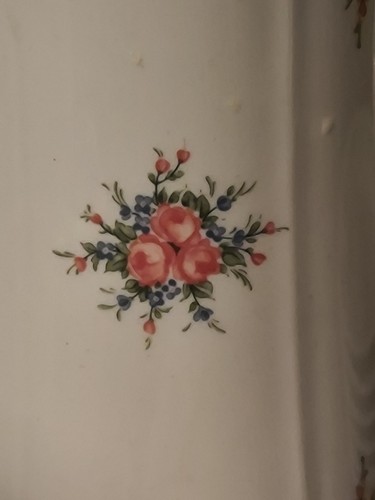 Seltmann Weiden Julia Rosa Rose Kaffeekanne Teller Kanne Zucker Kuchenteller 10 Stück   - Bild 2 von 19