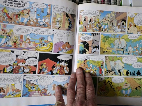 Asterix 7 x Colour Albums by Rene Goscinny Illustrator A Uderzo Hardcover Issues - Imagen 7 de 18